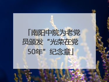南阳中院为老党员颁发“光荣在党50年”纪念章